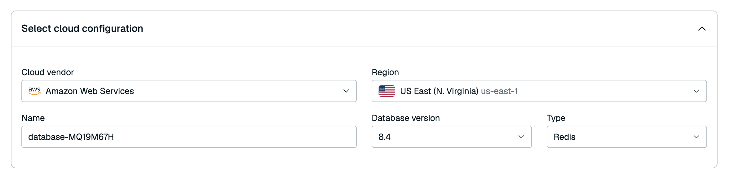 The database name, cloud vendor, version, region, type, and durability settings.