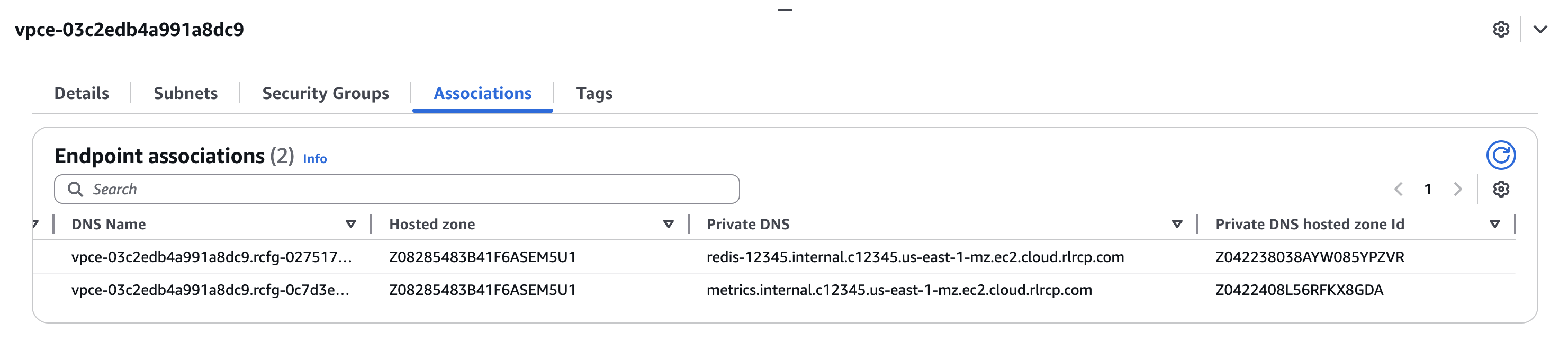 The Associations tab for a VPC resource endpoint, showing the Private DNS entries for the databases and metrics endpoint.
