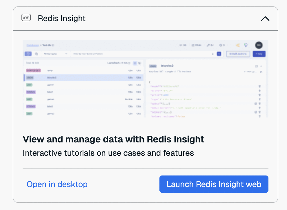 Launch Redis Insight web from the Connection Wizard.