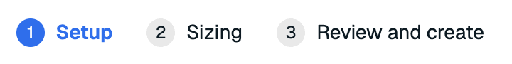 The Setup tab of the new Pro Database process.