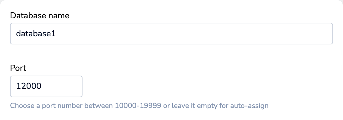Database name and port text boxes.