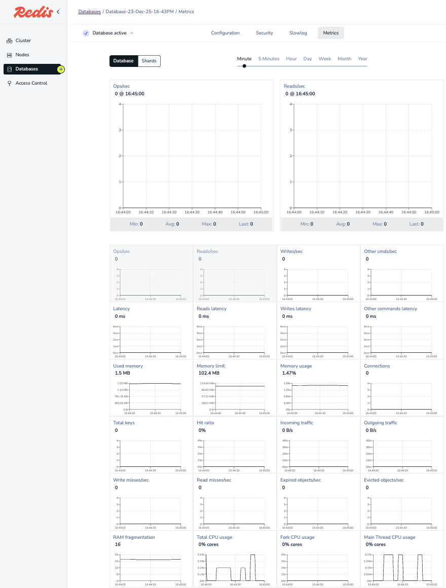 The database metrics page.